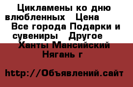 Цикламены ко дню влюбленных › Цена ­ 180 - Все города Подарки и сувениры » Другое   . Ханты-Мансийский,Нягань г.